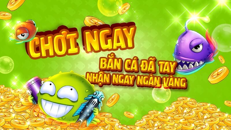 Giới thiệu tổng quan về Ica Net là gì?